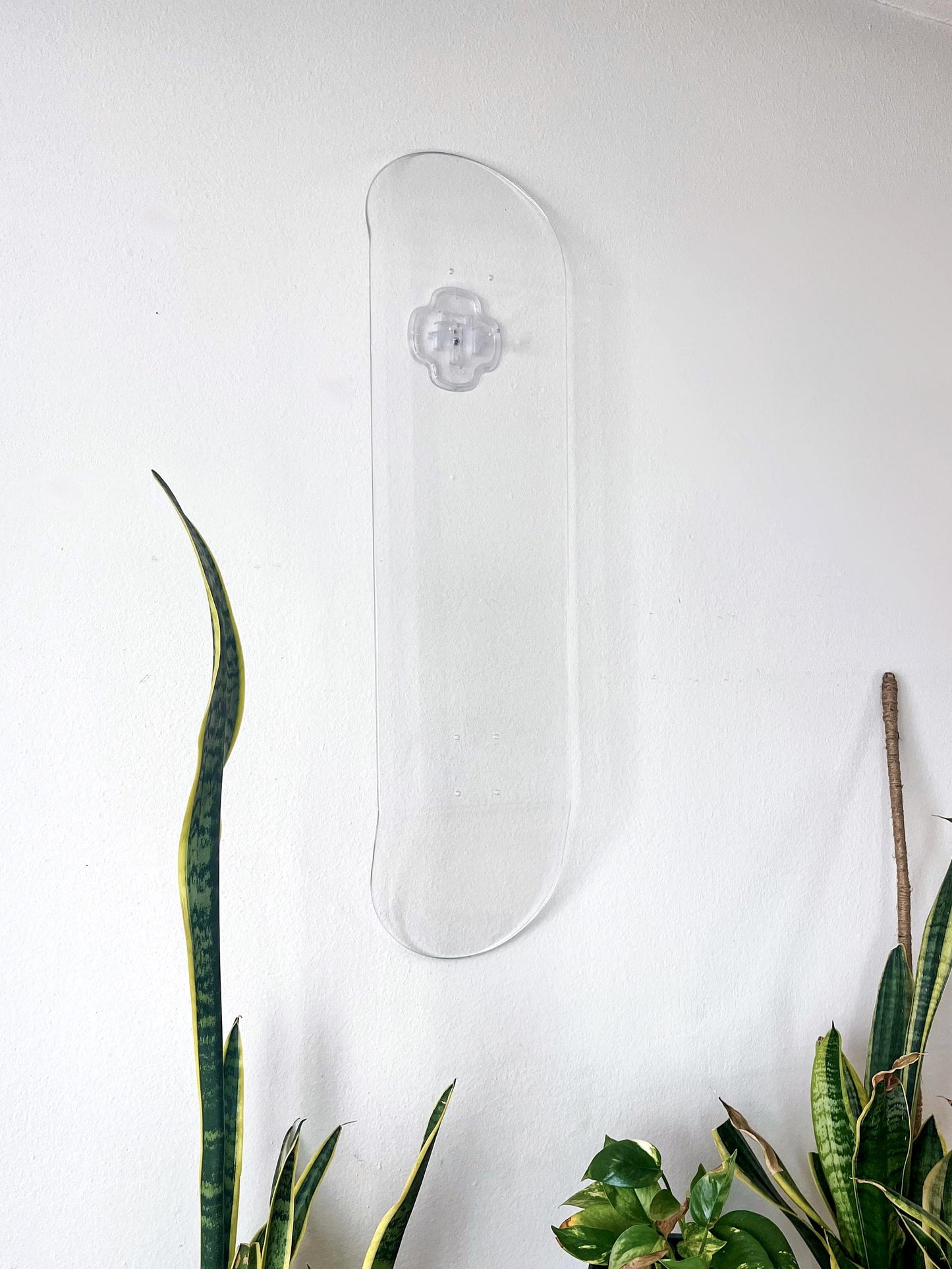 Clear skateboard deck hanging on wall.